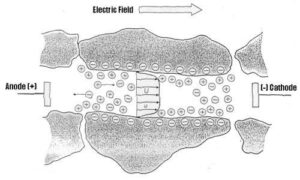diagram of electroosmosis